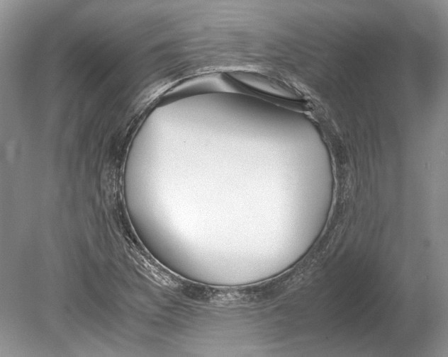 X0000078881169200612111732