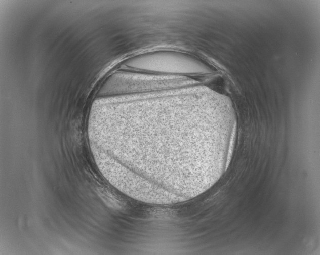 X0000078881170200612111732