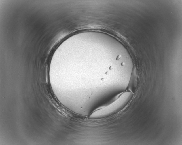 X0000078881171200612111732