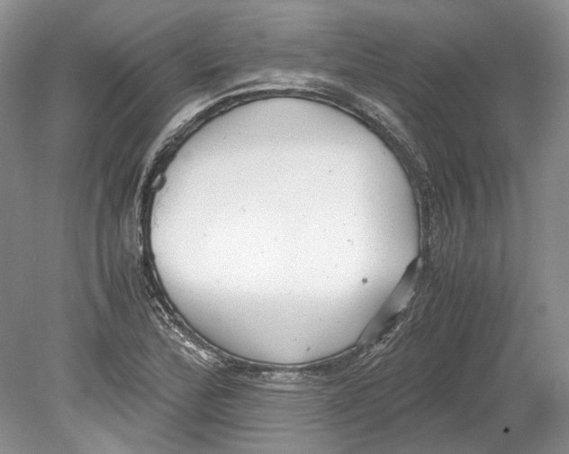 X0000078881172200612111732