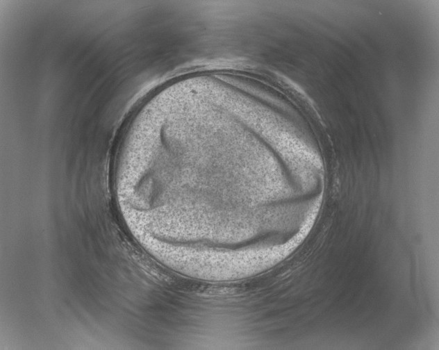 X0000078881174200612111732