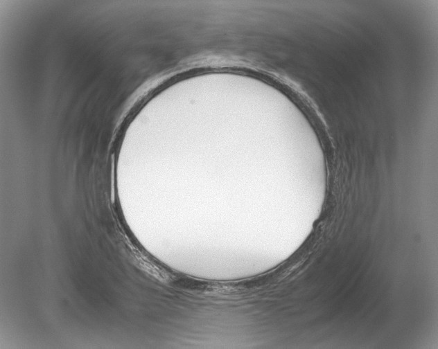 X0000078881175200612111732