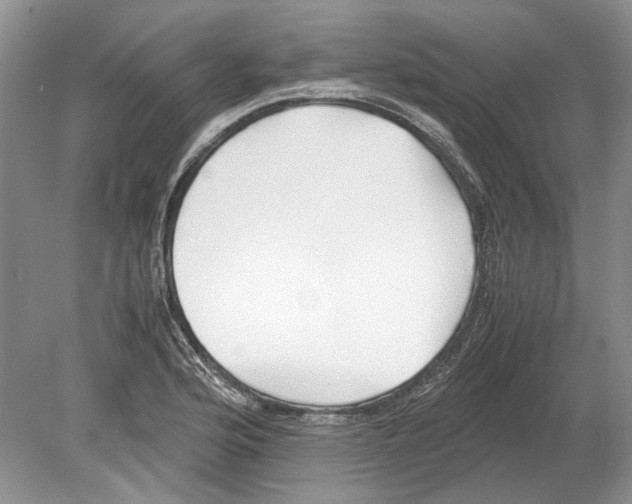 X0000078881176200612111732