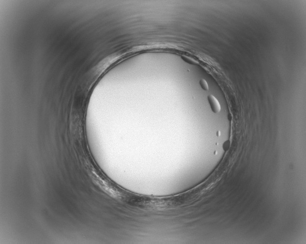 X0000078881177200612111732