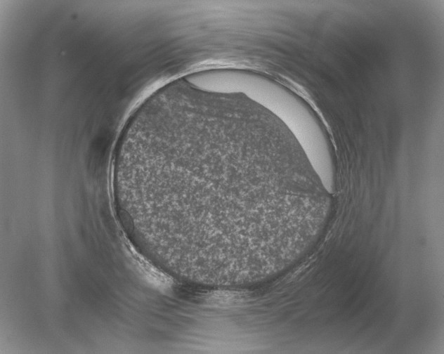 X0000078881179200612111732