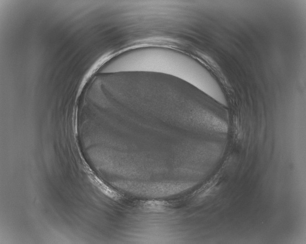 X0000078881180200612111731