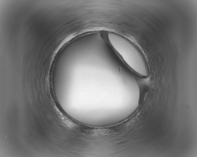 X0000078881181200612111731