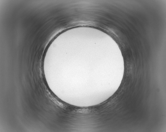 X0000078881182200612111731