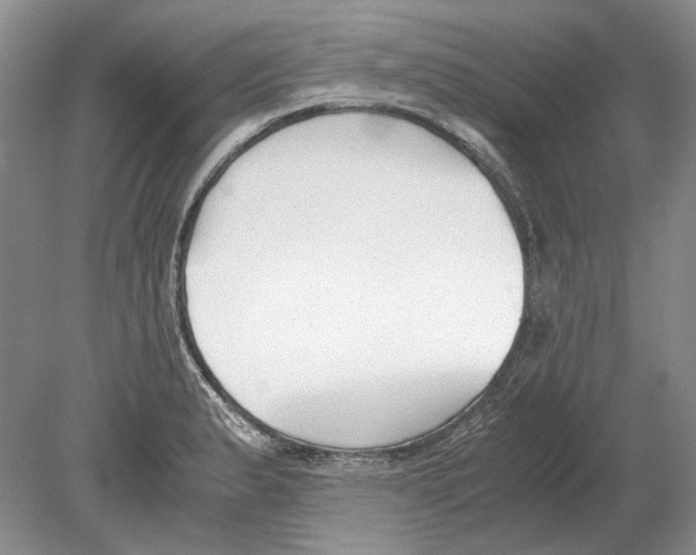 X0000078881183200612111731