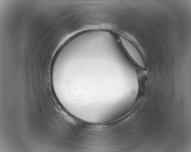 X0000078881184200612111731