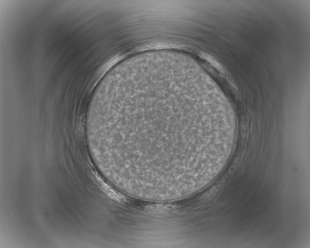 X0000078881185200612111731