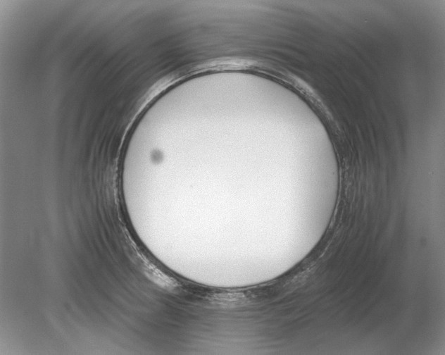 X0000078881186200612111731