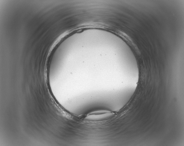 X0000078881188200612111731