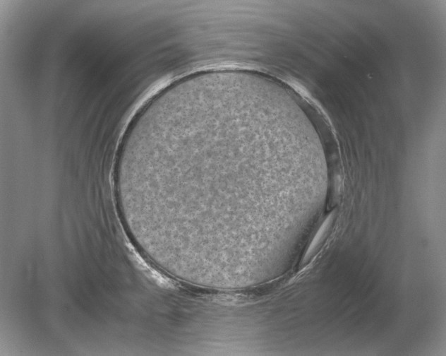 X0000078881189200612111731