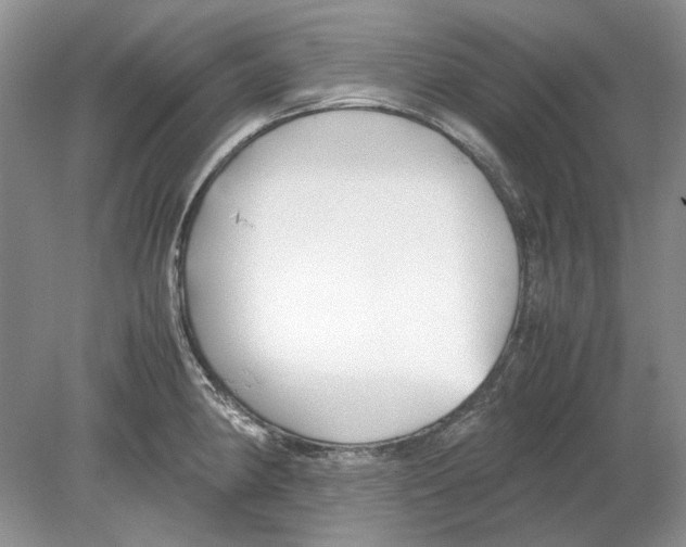 X0000078881190200612111731