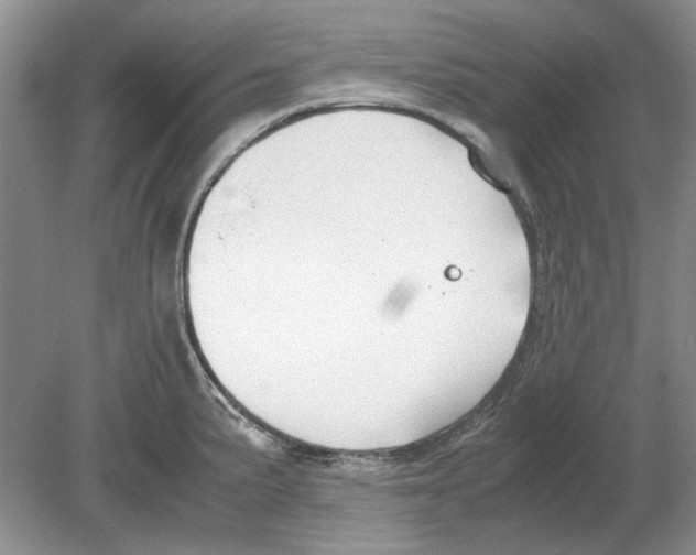 X0000078881191200612111731