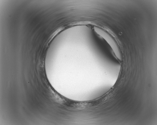 X0000078881193200612111731