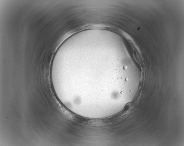 X0000078881194200612111731