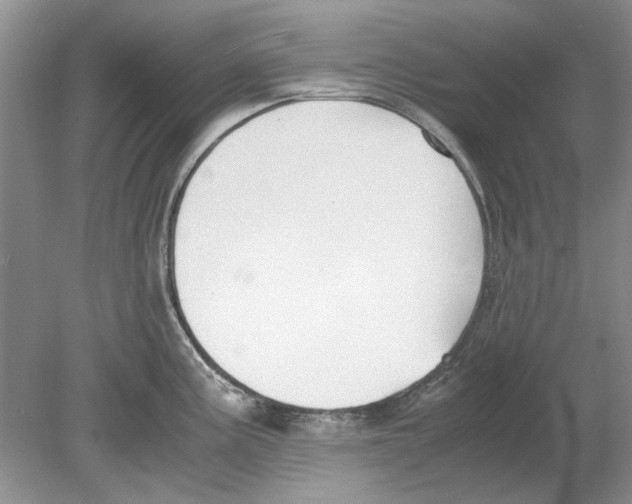 X0000078881195200612111731