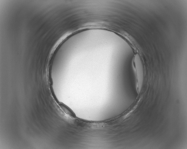 X0000078881196200612111731