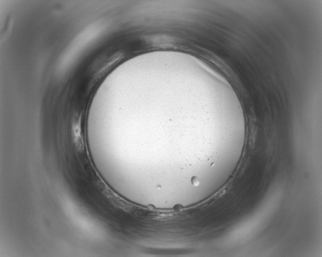 X0000078881198200612111731