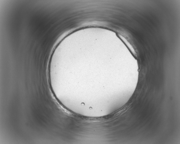 X0000078881199200612111731