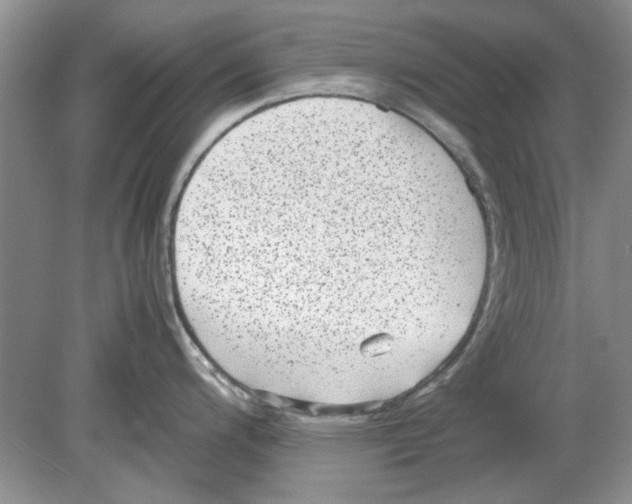 X0000078881200200612111731