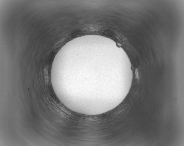 X0000078881203200612111730