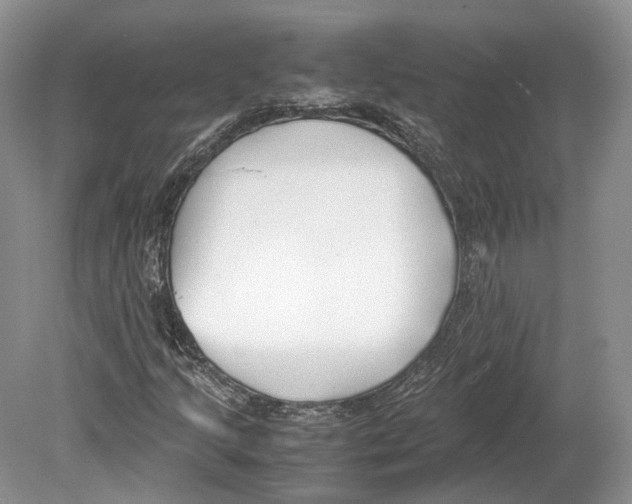 X0000078881205200612111730