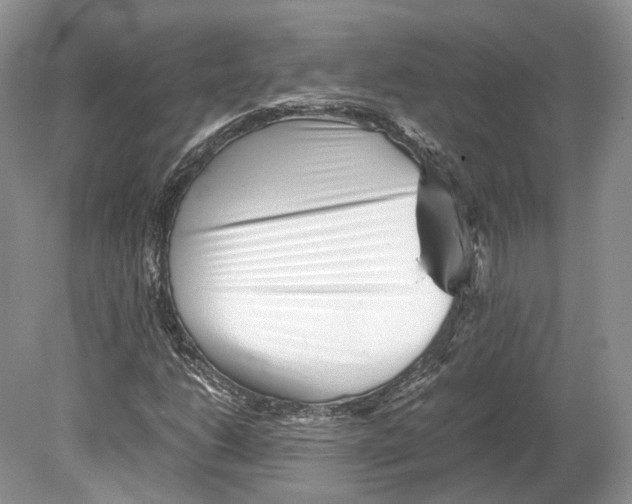 X0000078881206200612111730