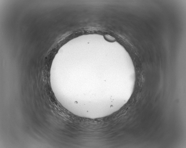 X0000078881207200612111730