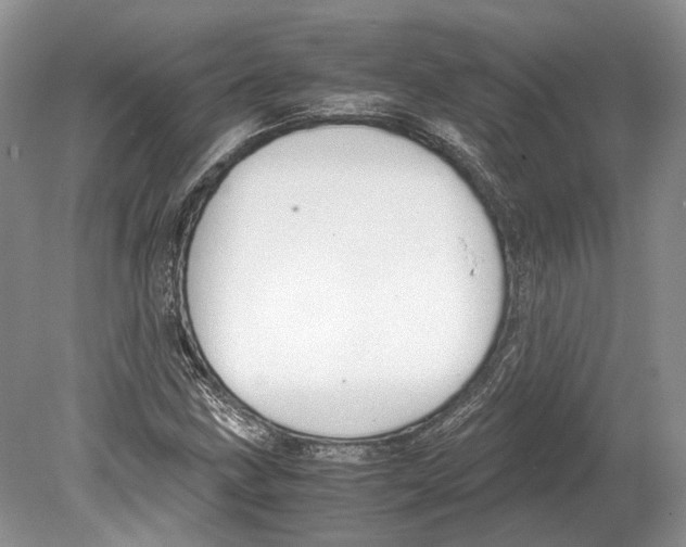 X0000078881211200612111731