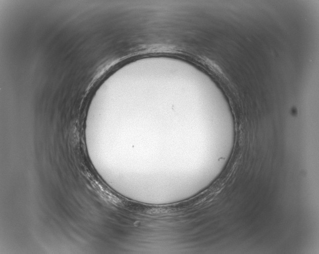 X0000078881212200612111731