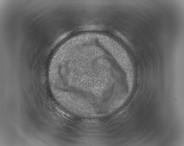 X0000078881213200612111731