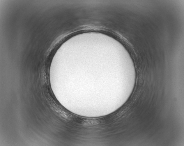 X0000078881215200612111731