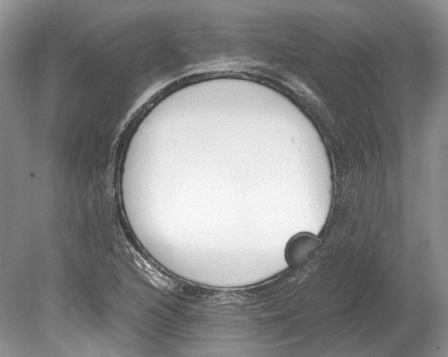 X0000078881216200612111731