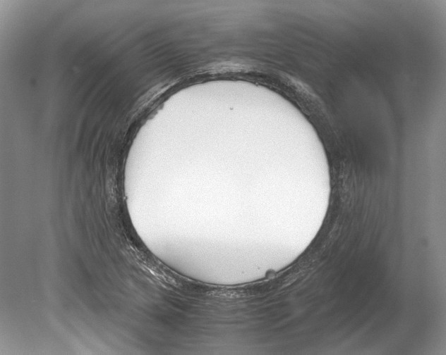 X0000078881217200612111731