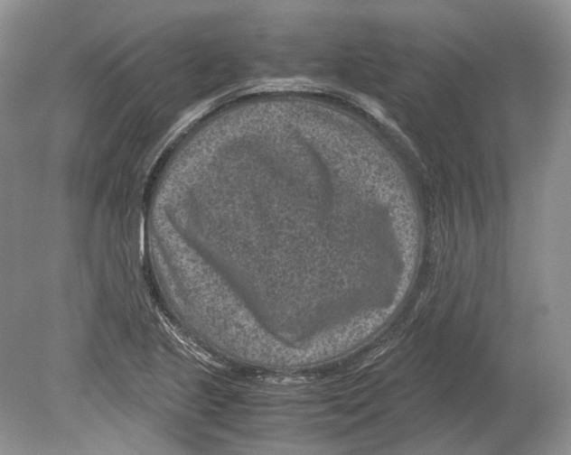 X0000078881221200612111731