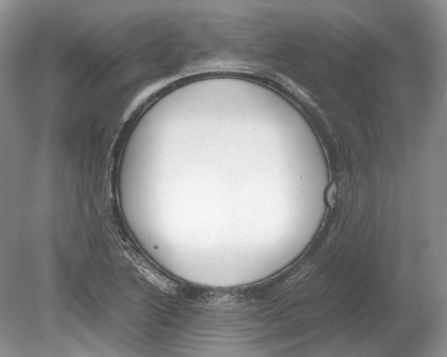 X0000078881222200612111731