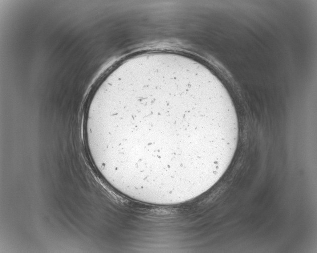 X0000078881224200612111731