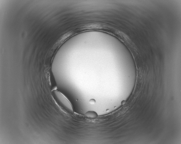 X0000078881225200612111731