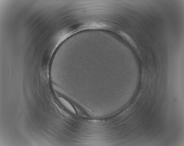 X0000078881226200612111731