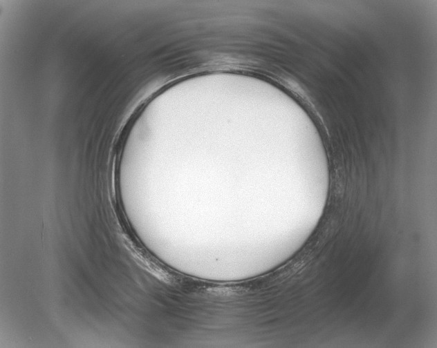 X0000078881227200612111731