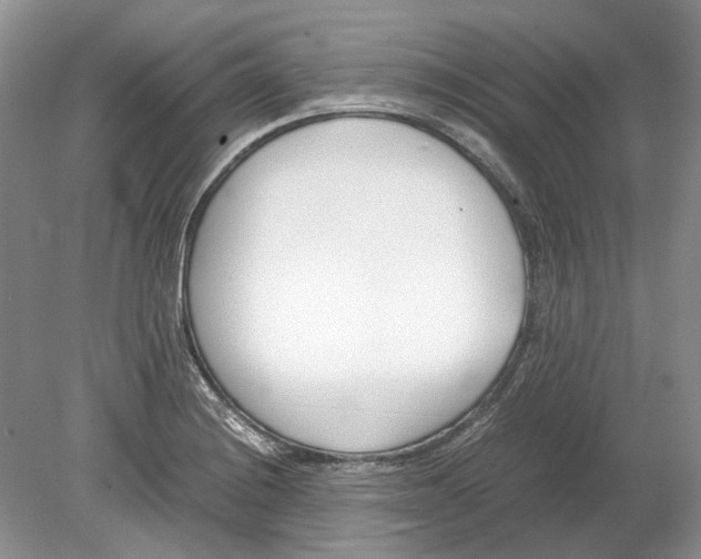 X0000078881228200612111731