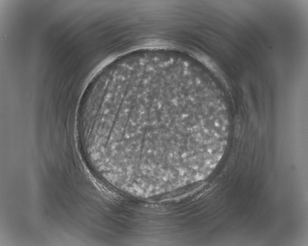 X0000078881229200612111731