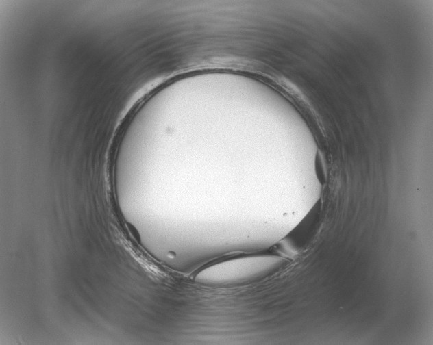 X0000078881230200612111731