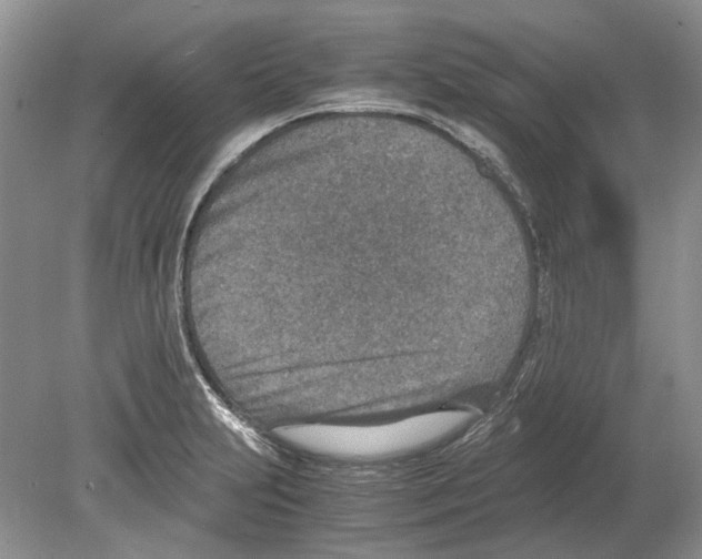 X0000078881231200612111731