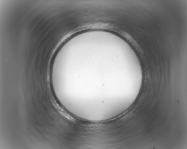 X0000078881232200612111731