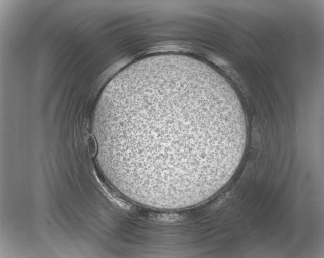 X0000078881233200612111731