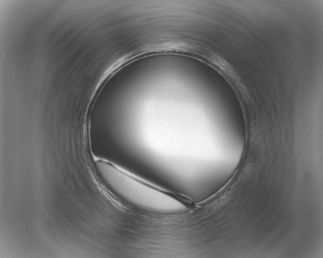 X0000078881234200612111731